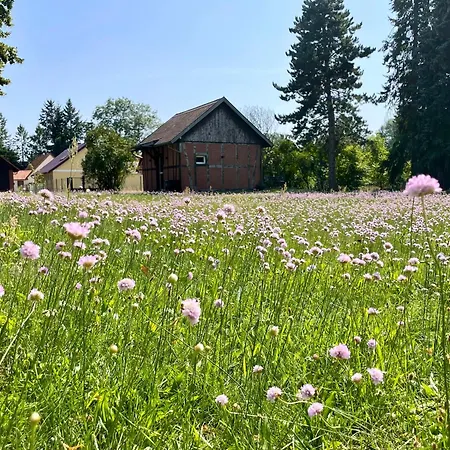 度假居 Tiny House Zur Alten Sparkasse Gross Garz