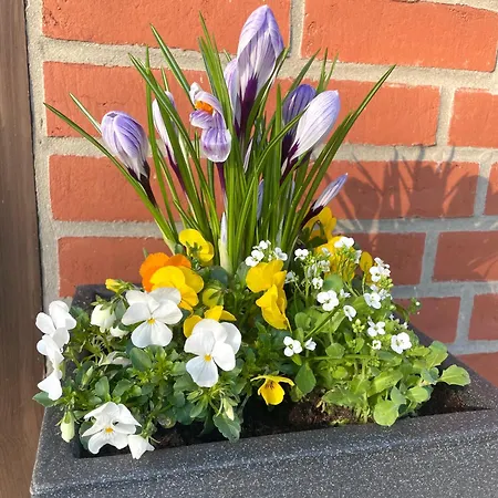 Tiny House Zur Alten Sparkasse