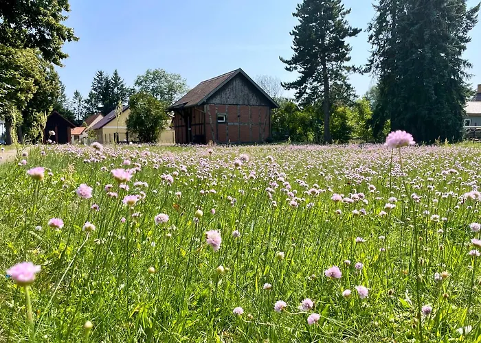 Semesterbostad Tiny House Zur Alten Sparkasse Gross Garz