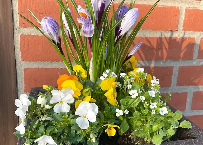 Tiny House Zur Alten Sparkasse